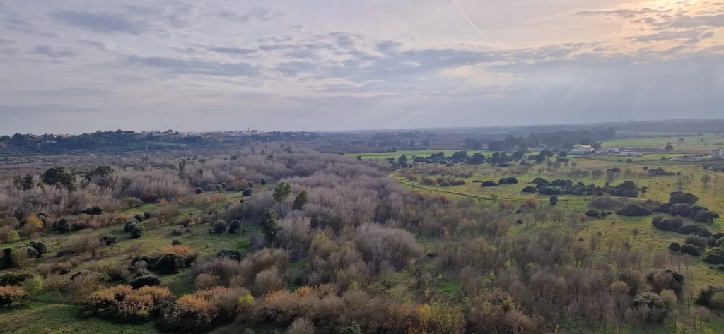 corredor verde dirección Aznalcazar