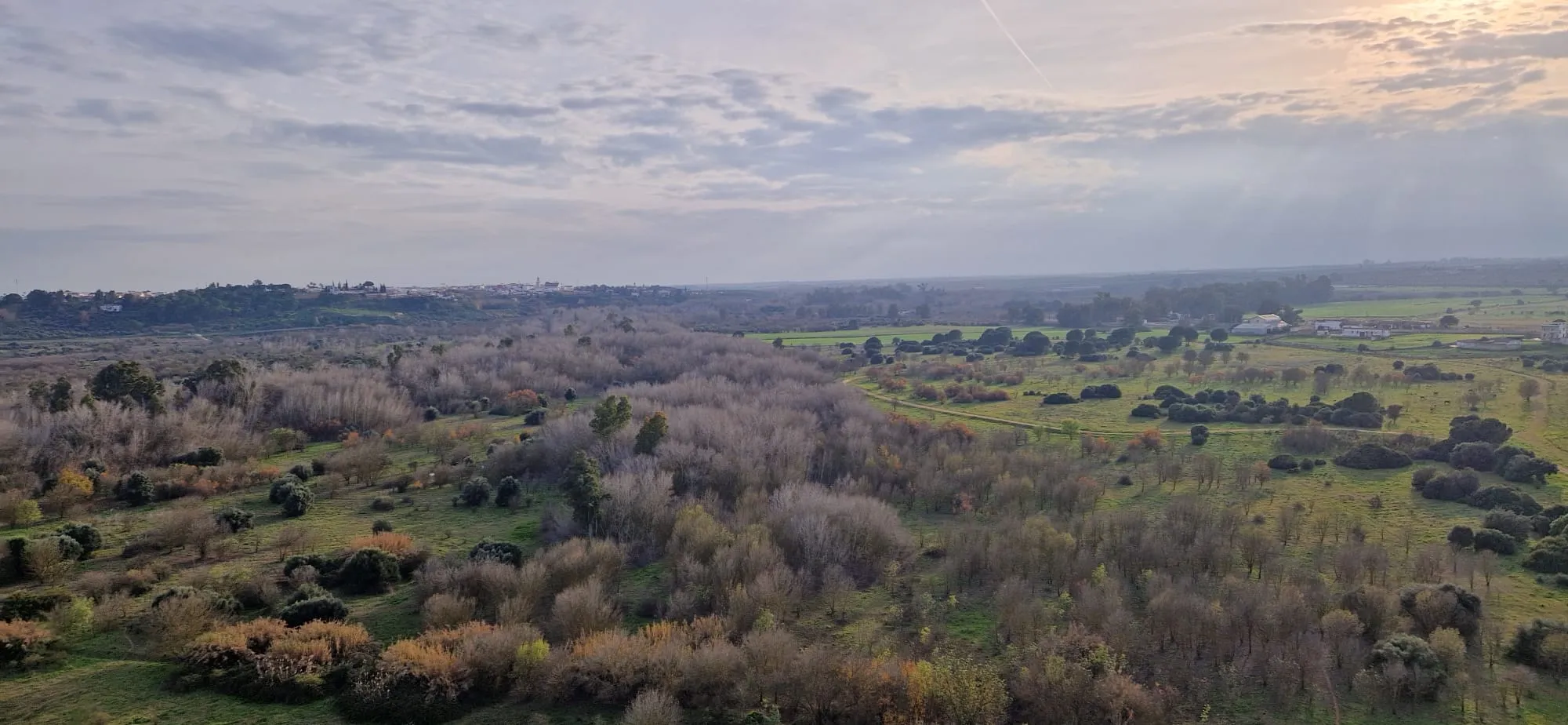 corredor verde dirección Aznalcazar